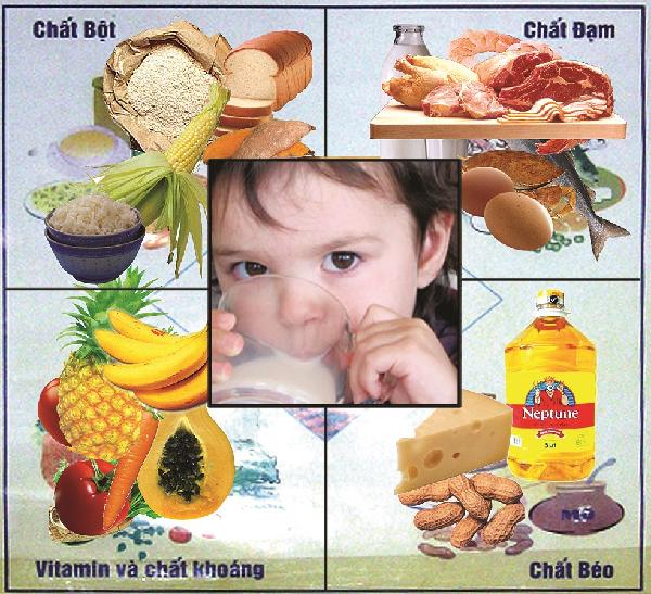 Các loại vitamin thiết yếu cho cơ thể