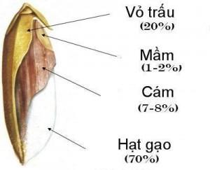 Gạo trắng hay gạo lứt? Quyết định là ở bạn